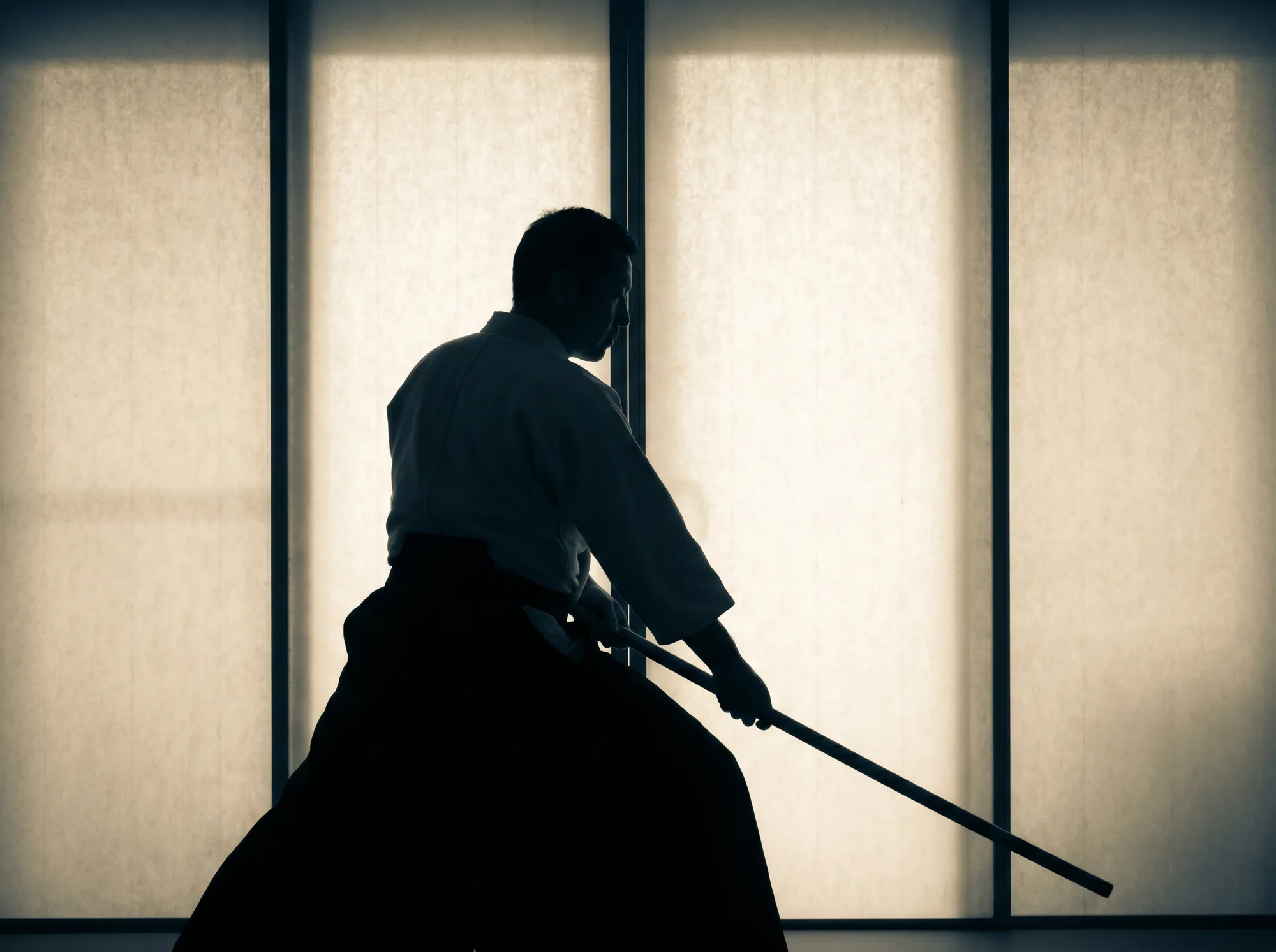 武道プログラム